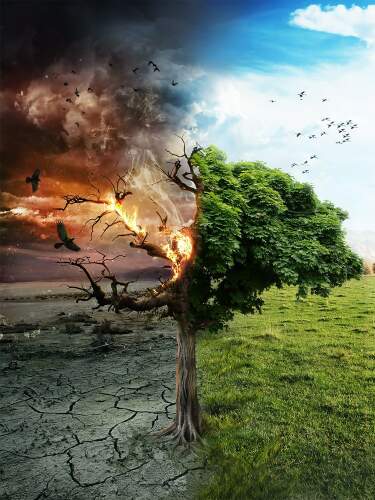 Unsere Zukunft: Wüste oder Leben?